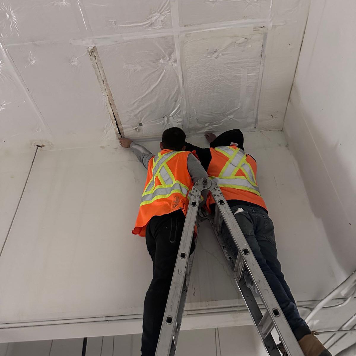 WhatsApp Image 2025-12-19 at 09.02.49 (4) (1)