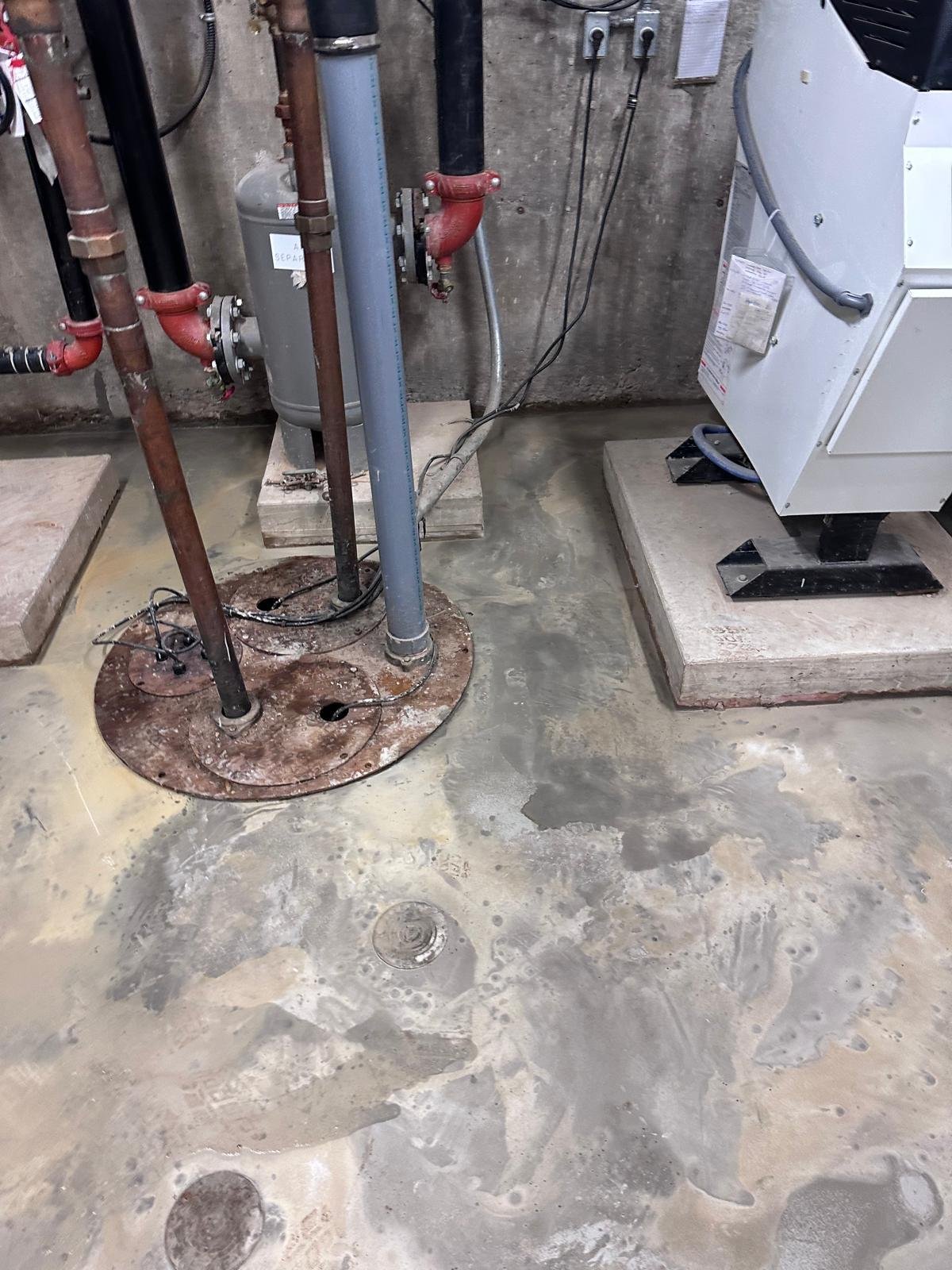 WhatsApp Image 2025-12-19 at 09.04.27 (1)