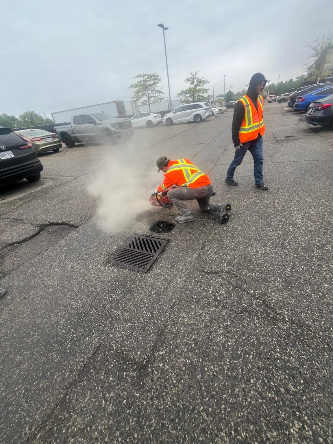 WhatsApp Image 2025-12-19 at 09.54.08