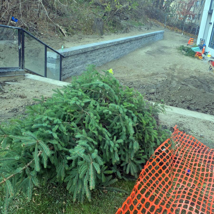 WhatsApp Image 2025-12-19 at 10.29.30 (1)