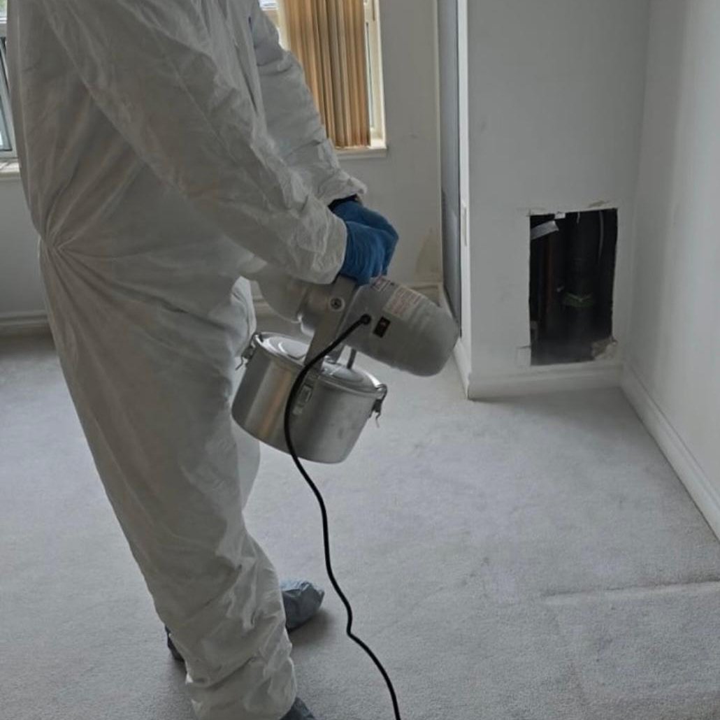 WhatsApp Image 2025-12-29 at 12.02.09