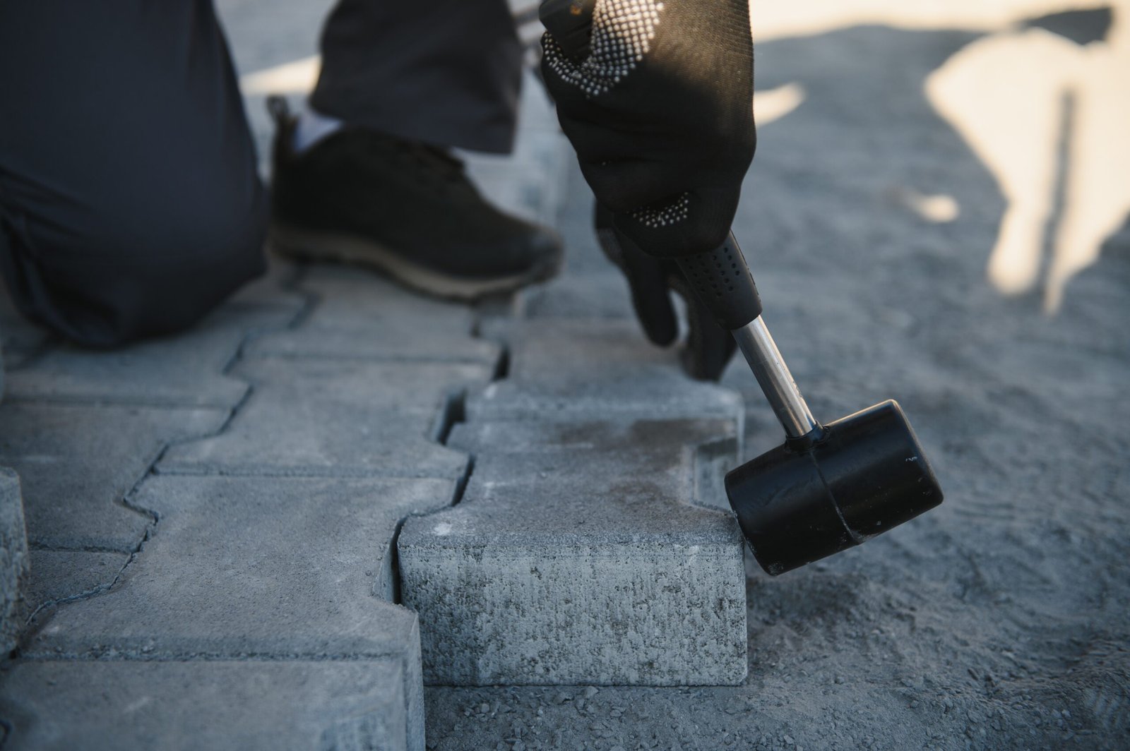 Landscaping paver worker laying paving stones on sandy ground of construction patio yard site in spring summer. Contractor wearing safety protective cloth, gloves for installation work.
